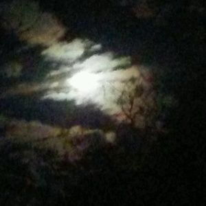 Meet your Posher, M j